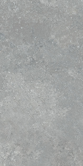 CFL12691 Large Slab Hot Sales 1200x600mm Grey color Porcelain Floor Tile