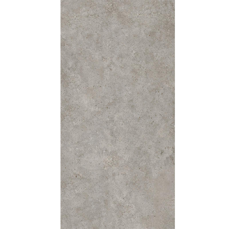 1200x2400 Grey Color Large Format Ceramic Tiles