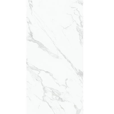 1200x2400 mm (48 "x96") Porcelain Slab Tile 2020 Marble Look Tile
