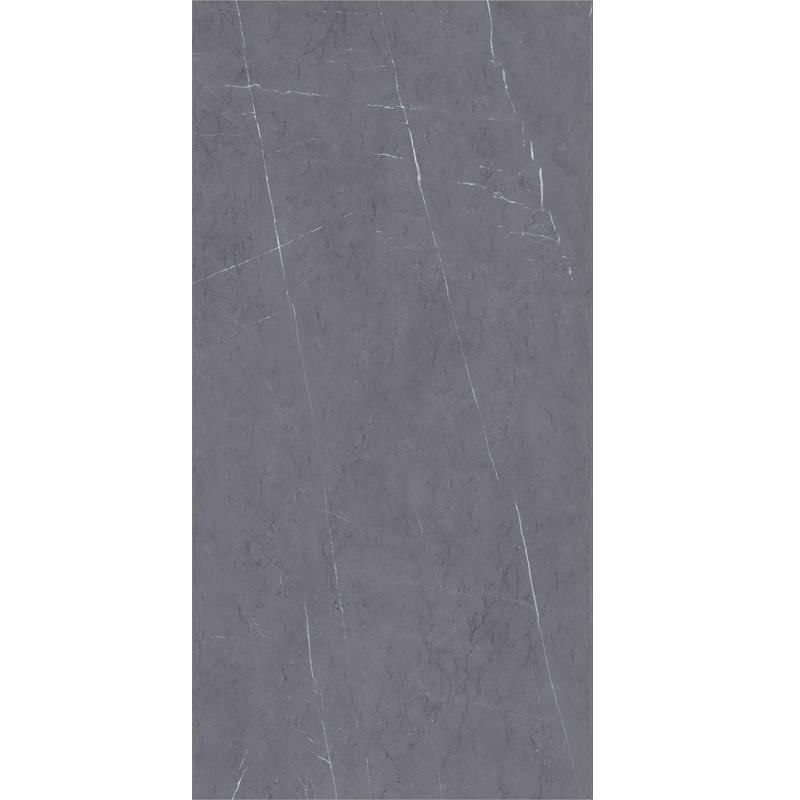 1200x2400MM Grey Porcelain Tiles For Living Room Wall And Floor Tiles